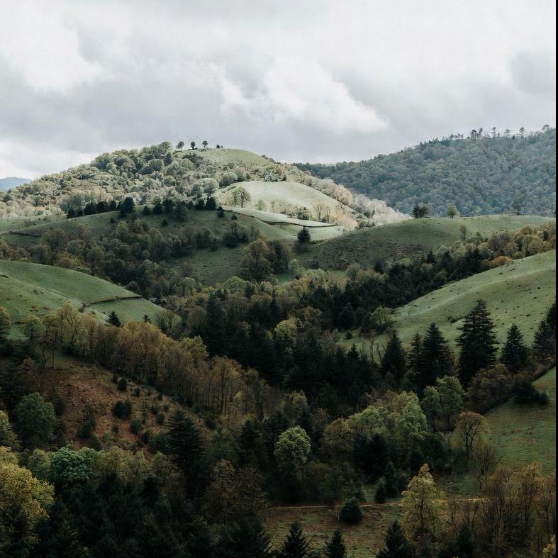 Explore North Carolina